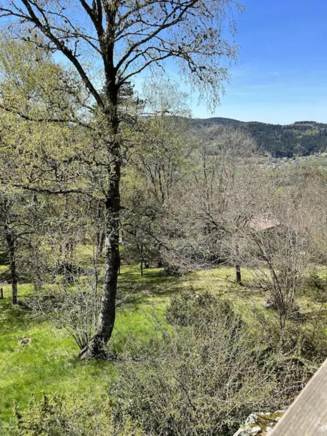 Chalet La Parenthese Le Tholy Zewnętrze zdjęcie